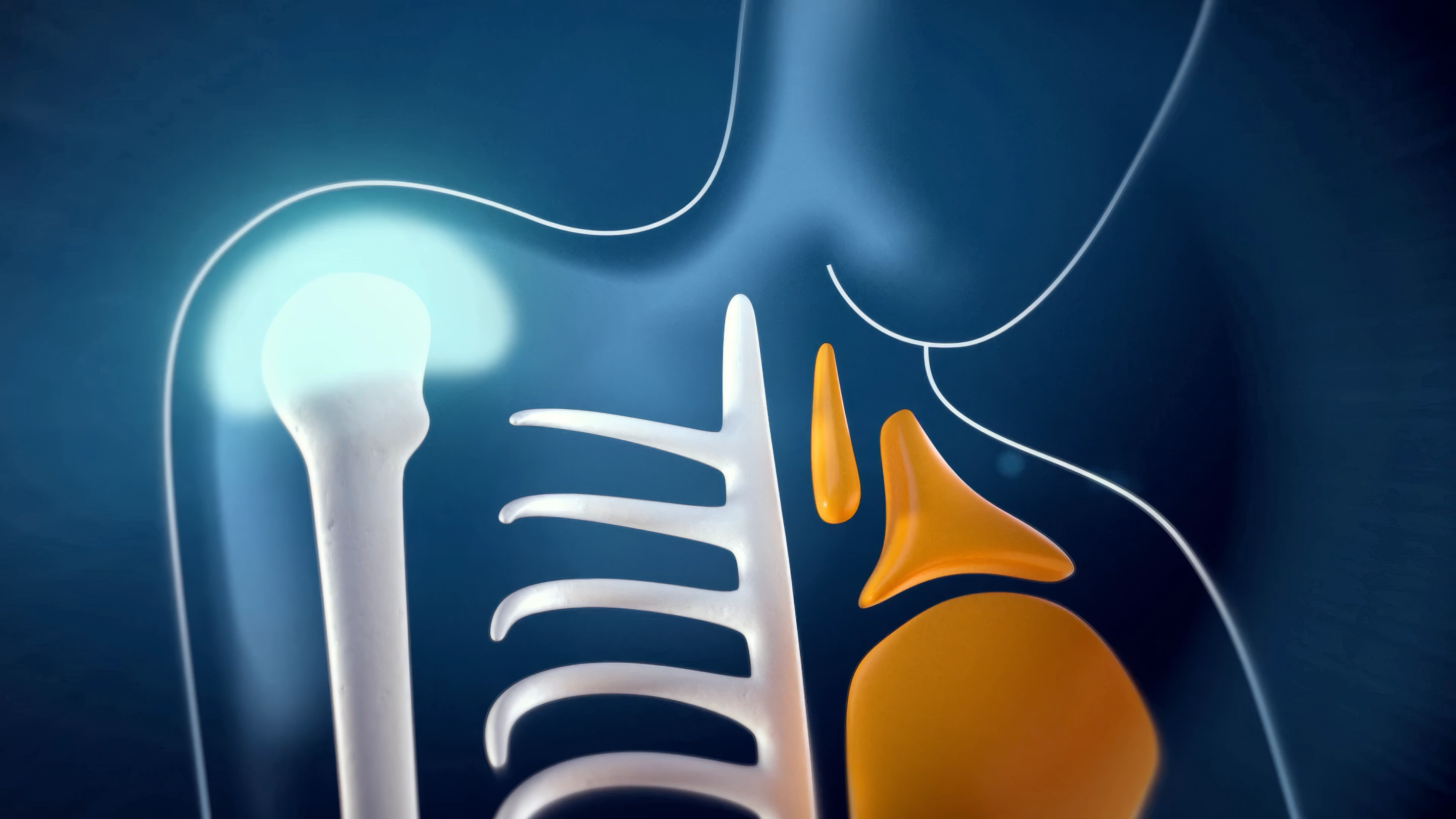 Orthopedic_SCR_03_hi