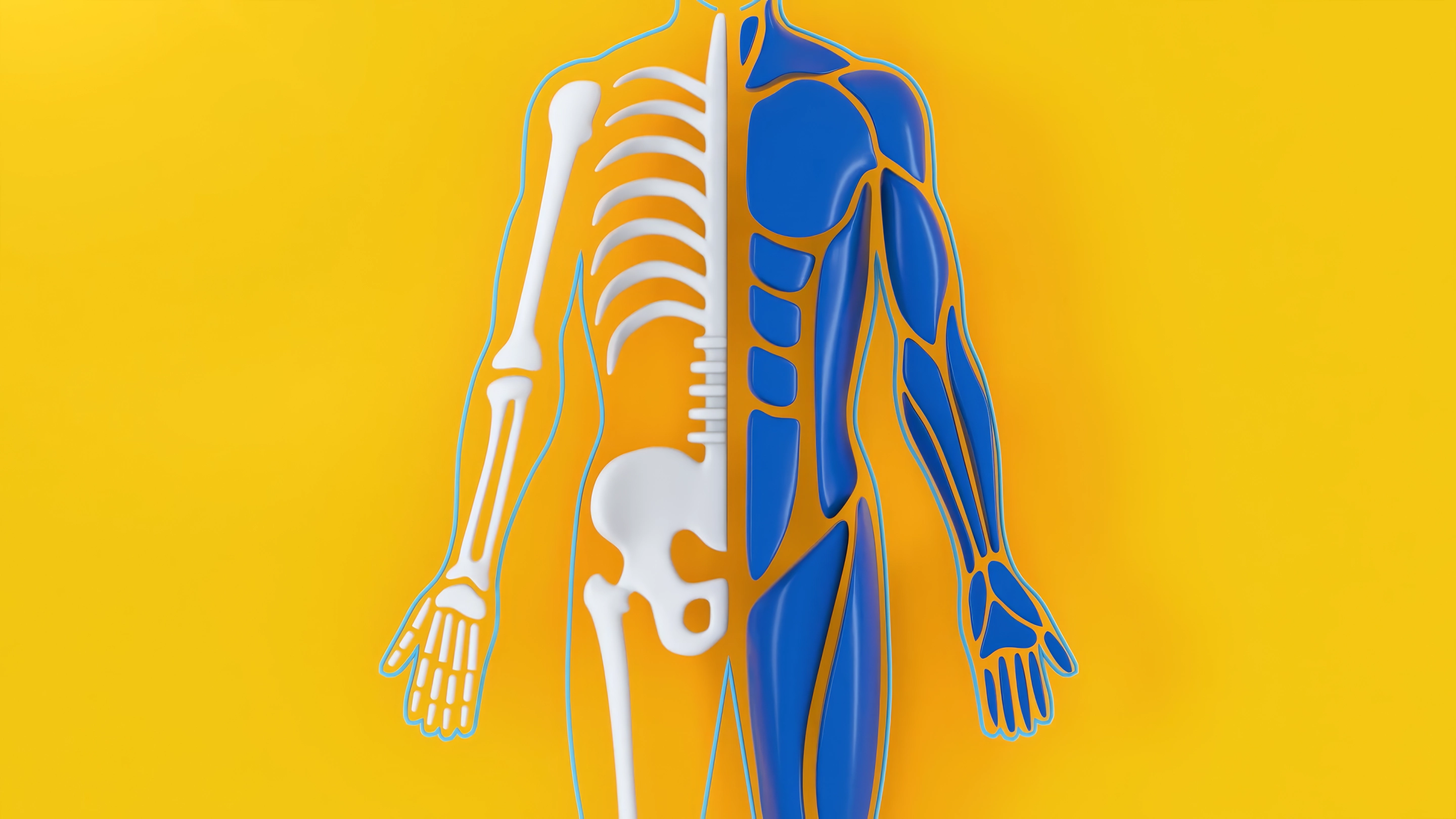 Orthopedic_SCR_21_hi