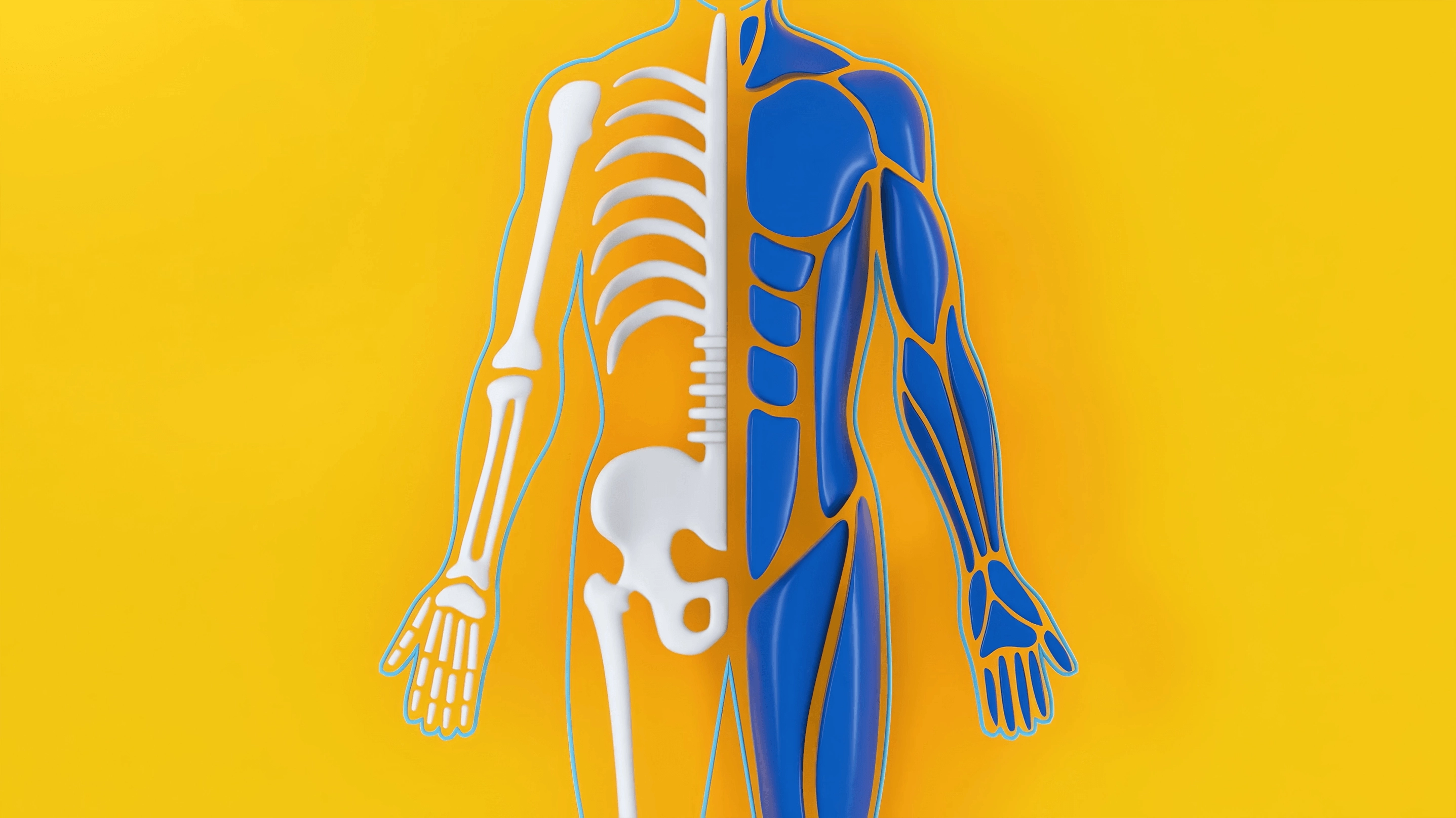 Orthopedic_SCR_21_hi